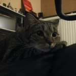 IMG_2492 IMG_2492