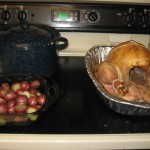 IMG_2495 IMG_2495