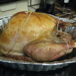IMG_2497 IMG_2497