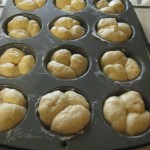 IMG_2509 IMG_2509