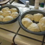 IMG_2510 IMG_2510