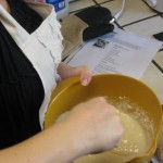IMG_2533 IMG_2533
